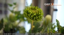 Whiteland Blissville Sector 76 Sample Apartment & Project Details